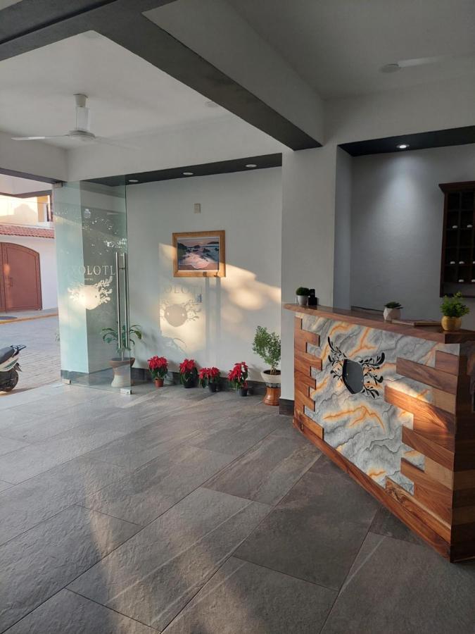 Hotel Axolotl Puerto Escondido  Eksteriør bilde